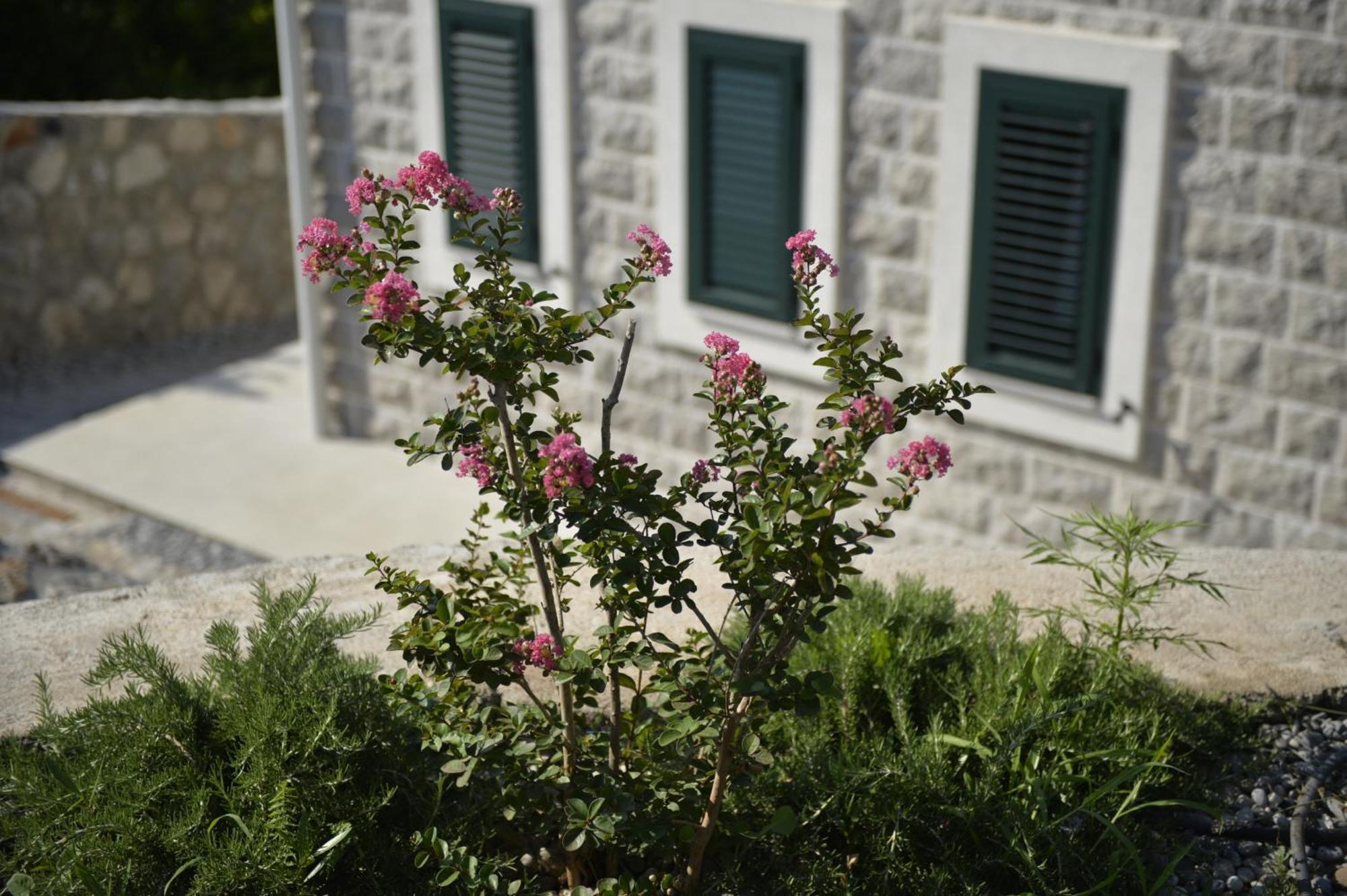 Villa Vista Azzurra Tivat Extérieur photo